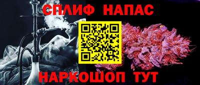 амф Обь
