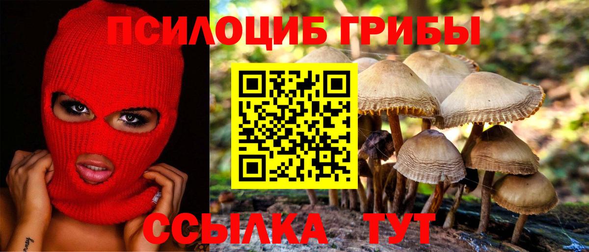 Тихорецк  Псилоцибиновые грибы GOLDEN TEACHER  Вход с VPN  Галлюциногенные грибы ЛСД 